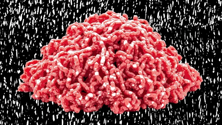 22,912 pounds of raw ground beef recalled: E. coli contamination fears at food service locations