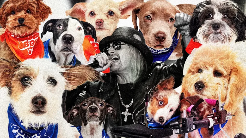 Puppies, not politics, won Super Bowl Sunday