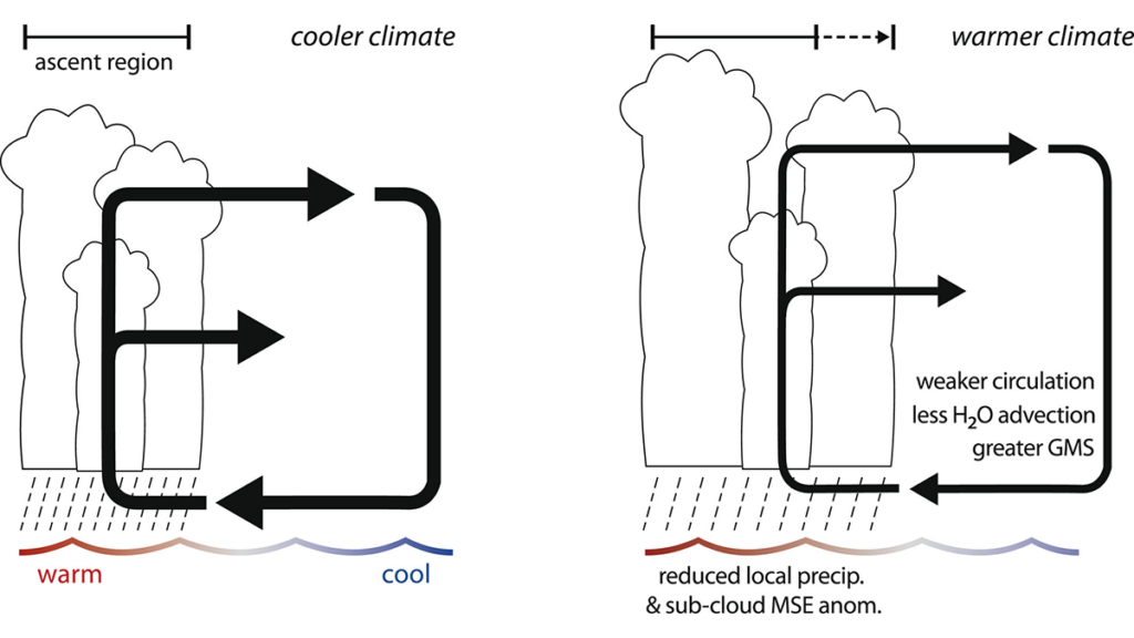 The “Wet-Gets-Wetter” Response to Climate Change Does Not Always Apply