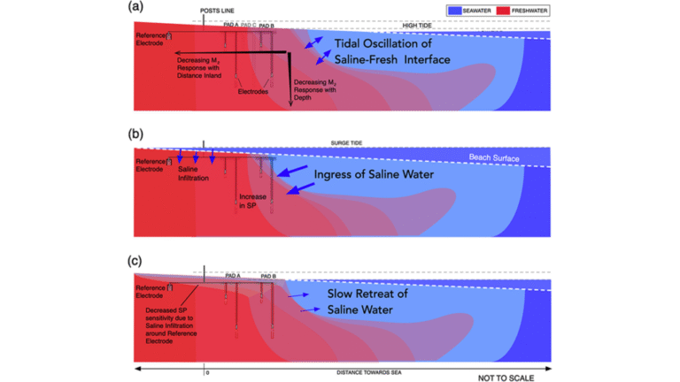 Tides Generate Detectable Electrical Signals in Coastal Aquifers
