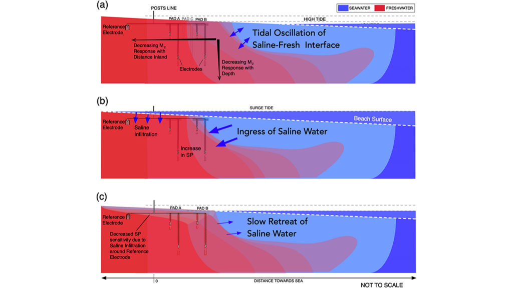 Tides Generate Detectable Electrical Signals in Coastal Aquifers