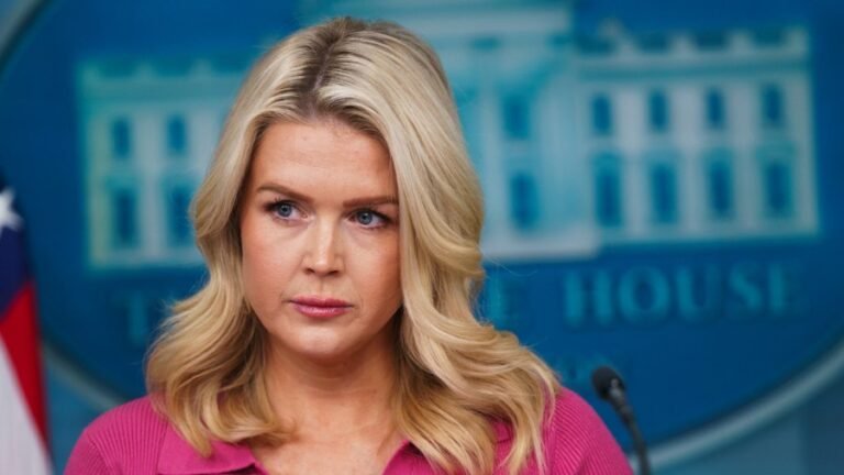 Leavitt pushes back against report of FBI warning of Iran threat to California