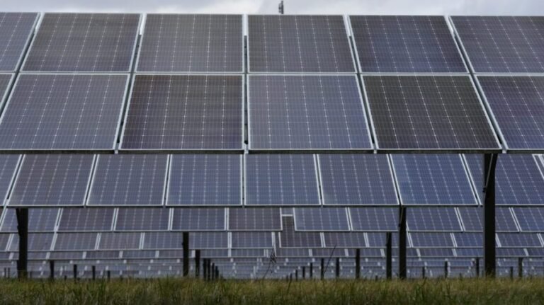 Solar installations drop after Trump guts subsidies, tax breaks