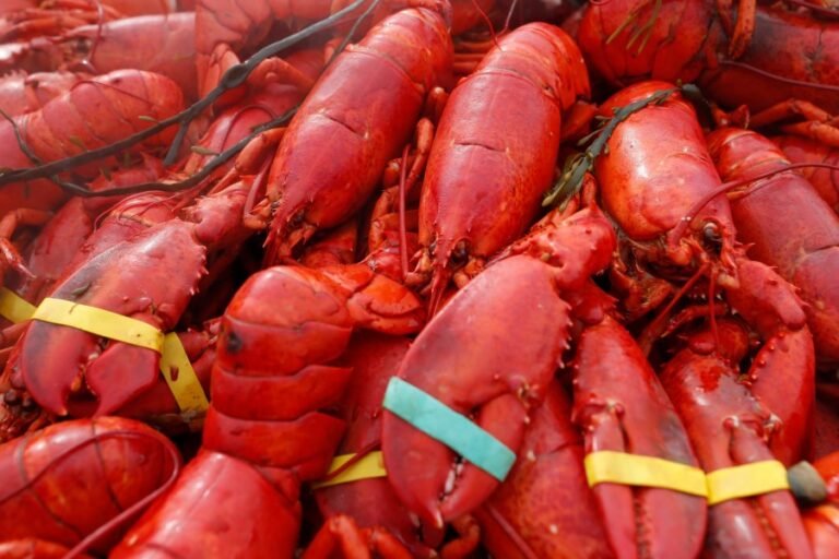 'Lobstergate' shows just how far our media have sunk