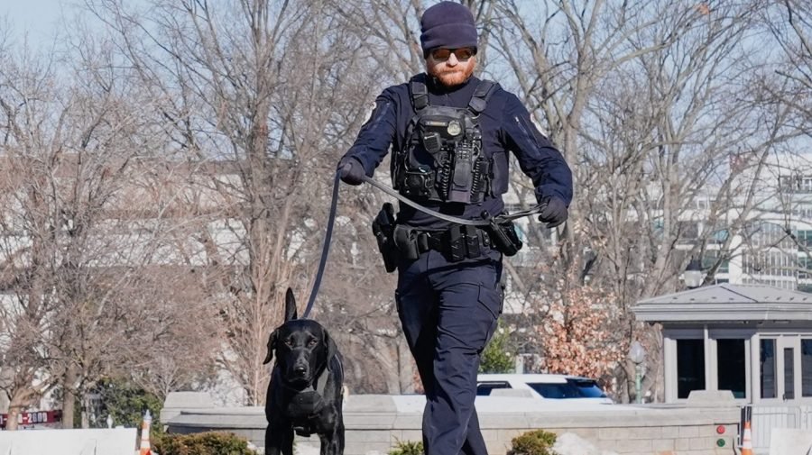 House passes bill that would deport noncitizens for harming police animals