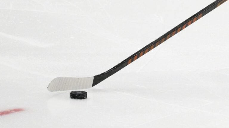 Lobbyists edge out lawmakers in charity hockey showdown