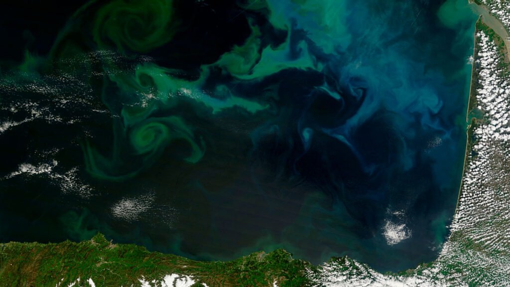 Global Observations Reveal Rapid Reorganization of Ocean Nutrients