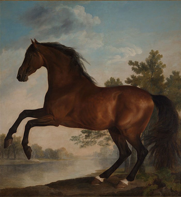 Stubbs: Portrait of a Horse at the National Gallery