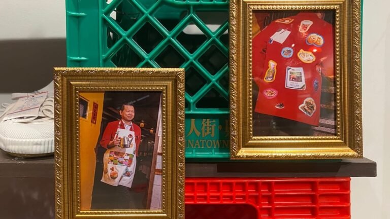 Chronicles of a Needless War