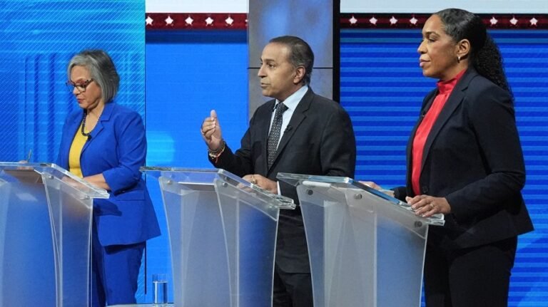 Illinois Democrats duke it out for Durbin’s seat