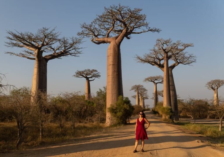What’s it really like to travel to Madagascar?