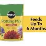 Miracle-Gro Potting Mix (8 qt) only $5.37!