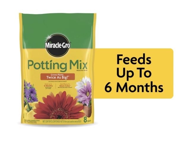 Miracle-Gro Potting Mix (8 qt) only $5.37!