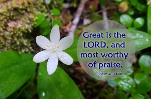 Most Worthy of Praise – Psalm 48:1