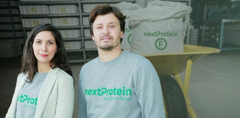 Insect ag recalibrates after a brutal shakeout: Where are the key players now?