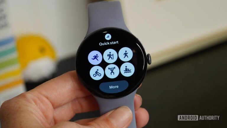 Pixel Watch bug is wiping out exercise steps after March update