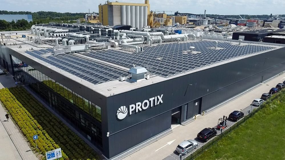 Dutch insect ag firm Protix shifts focus to Asia: ‘We could be cost competitive there from day one’