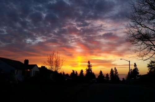 Following the Cloud – Numbers 9:15-17