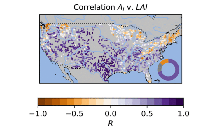 Trees Shed Their Leaves to Adapt to Droughts
