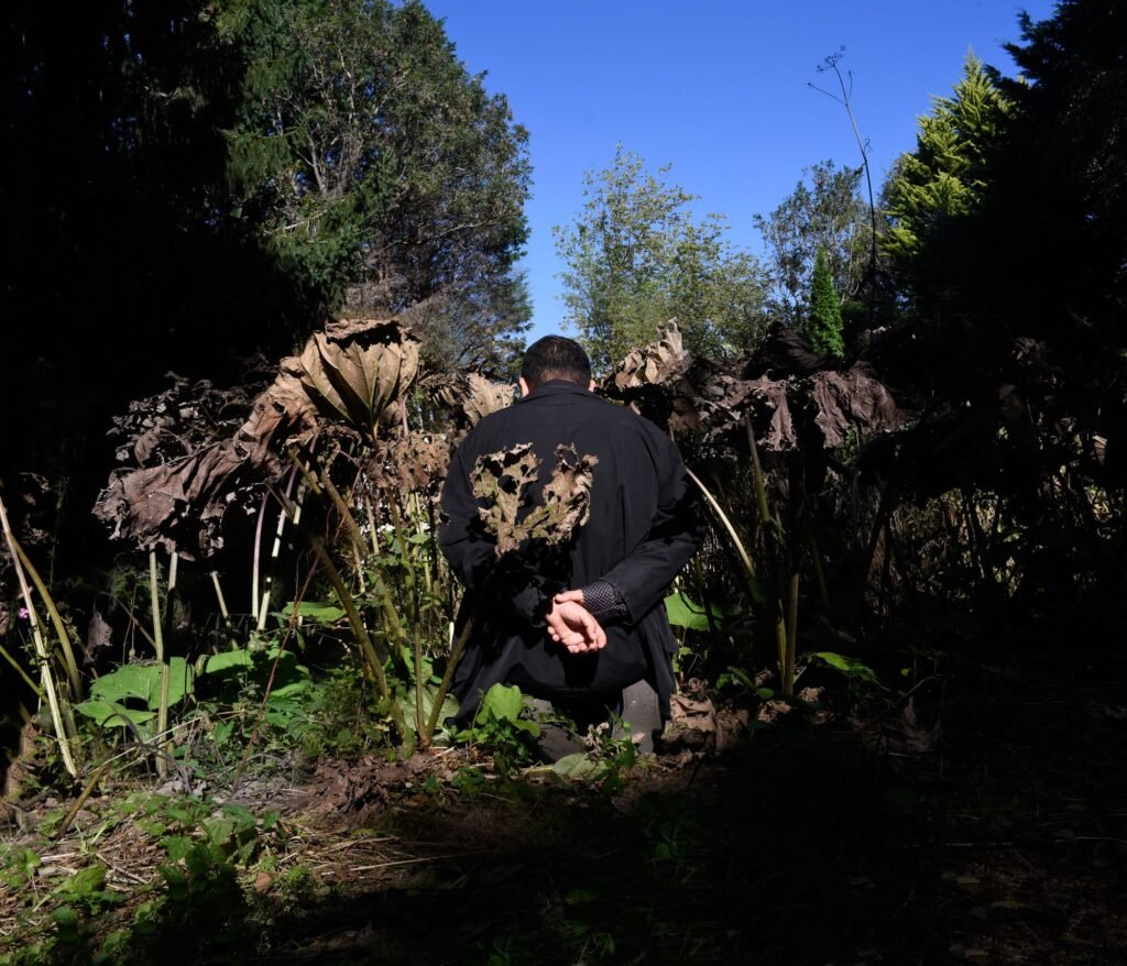 Ali Eyal Gives Testimony