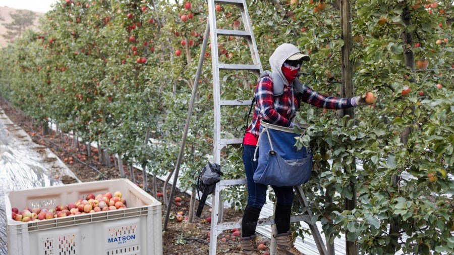 The Farm Bill, in its current state, is a public health failure