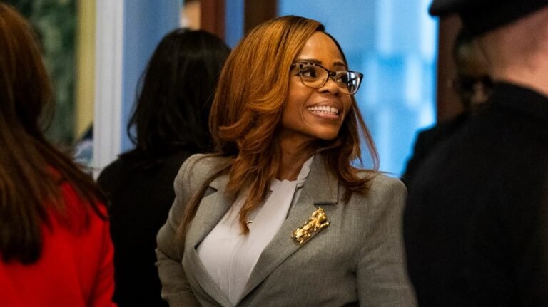 Democrats face test as rare Ethics hearing examines Cherfilus-McCormick fraud allegations