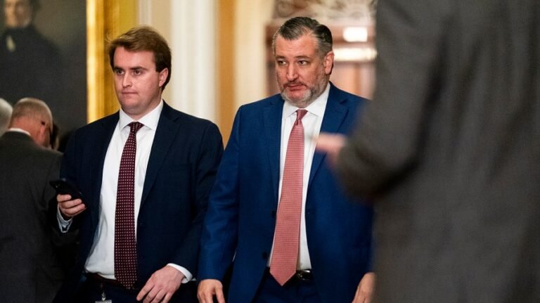 Cruz proposes splitting ICE from Homeland Security funding bill to end airport chaos