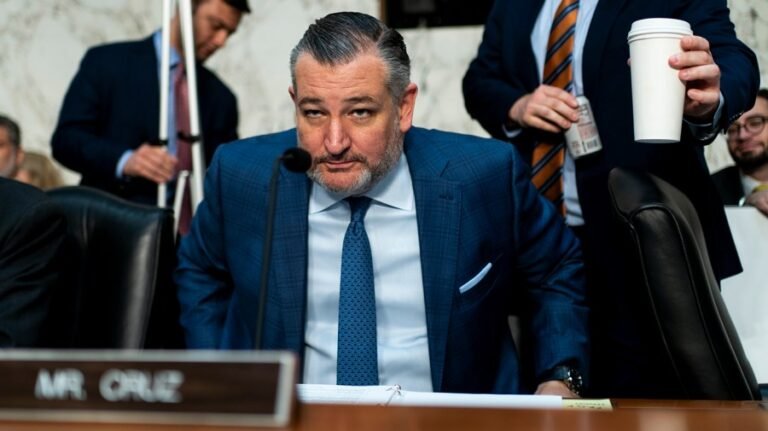 Cruz asks Senate to hold his salary during DHS shutdown