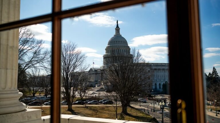 Former House Democrat wins party nod in Illinois primary