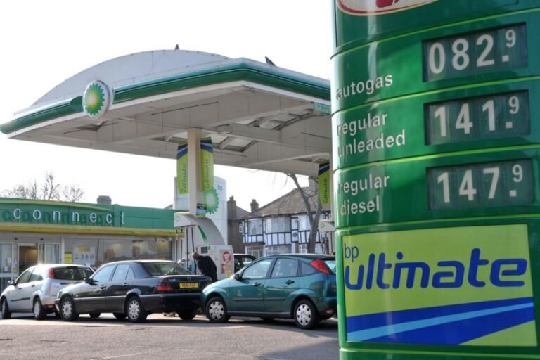 Reform vows to scrap the Electric Car Grant to keep petrol prices low