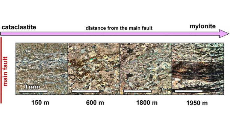 Long-Term and Recent Activity of the Brenner Fault Finally Reconciled