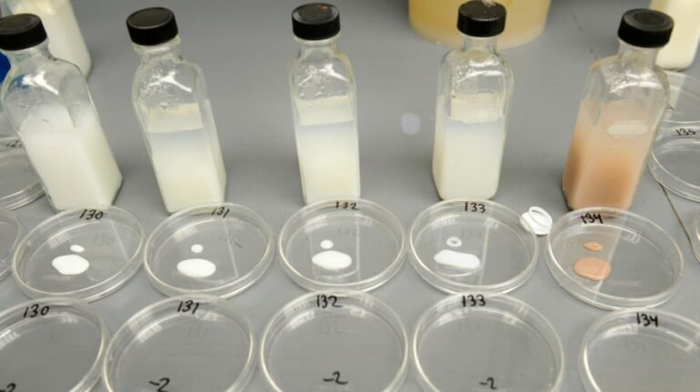 Wealthy Americans can learn from the philanthropist who made milk safer