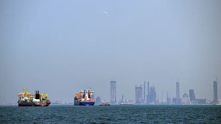 Flexport CEO: The Strait of Hormuz crisis is bigger than oil