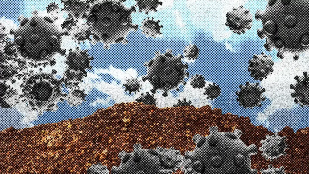 COVID variant BA.3.2: Symptoms, states, and what to know about the newly emerging ‘Cicada’ threat