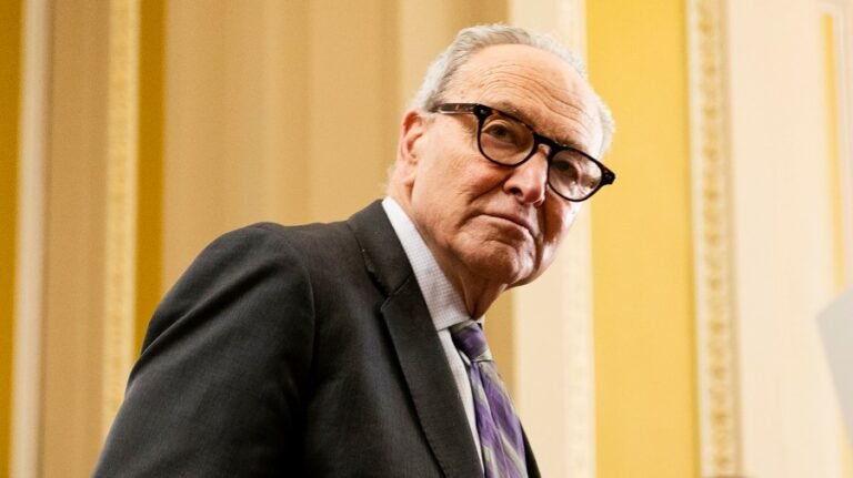 Schumer: House GOP plan to pass DHS stopgap is ‘dead’ in the Senate