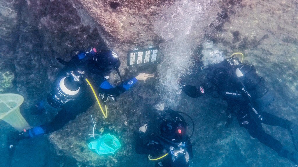 Acidifying Seas Are Wearing Away at Underwater Archaeology