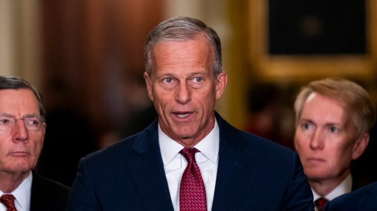 Thune: Republicans will use SAVE Act in midterms if Democrats don't get 'on board'