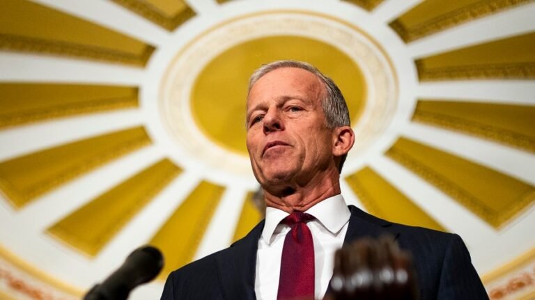 GOP senators warn Trump that shaky economy could spell election disaster