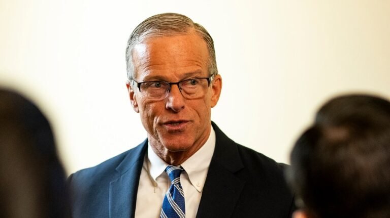 White House reviews Democratic offer to reopen Homeland Security