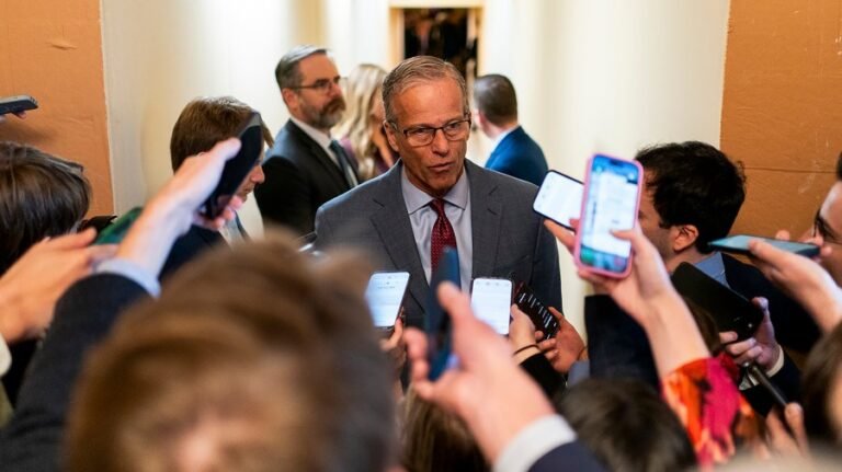 Senate agrees to fund TSA and most of DHS, but not ICE