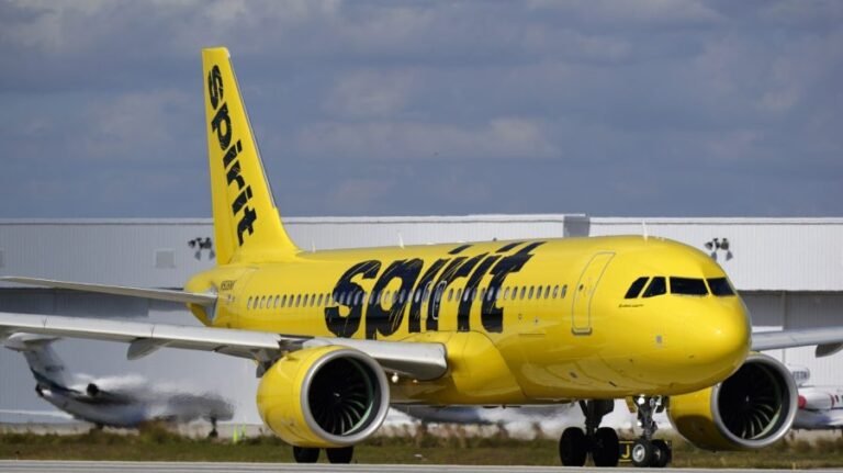 Trump: 'I'd love somebody to buy' Spirit Airlines