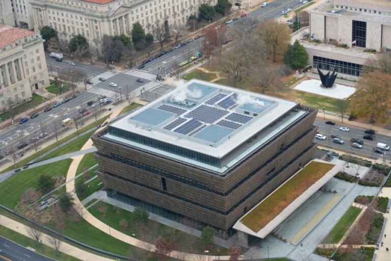 Defending the truth: The fight for Black history in 2026