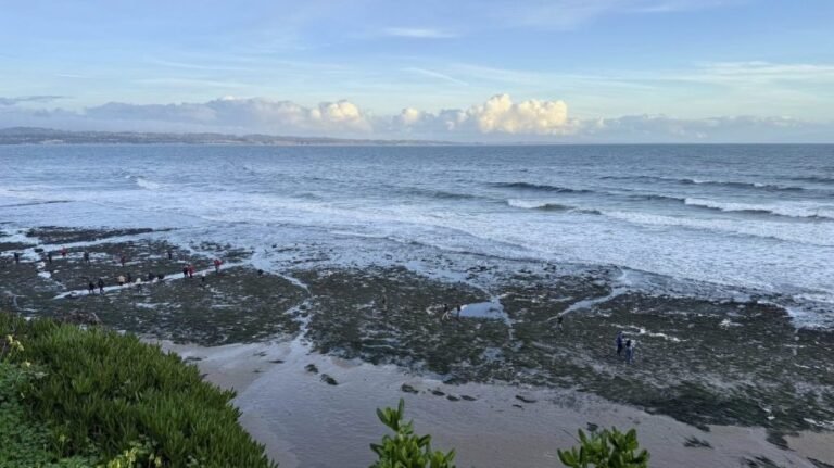 Magnitude 4.6 earthquake shakes Central California