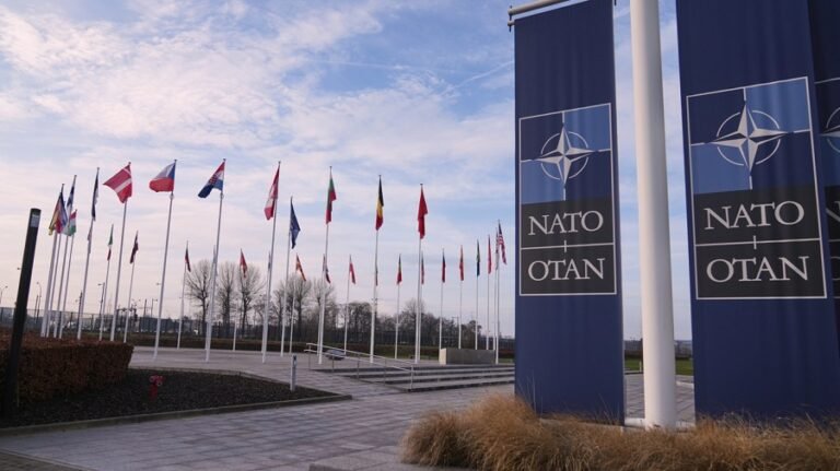 'The Falklands are British': UK blasts report of Trump mulling NATO reprisals