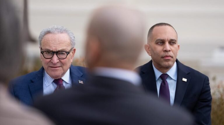 Jeffries, Schumer knock Trump mail-in voting order: 'Unlawful power grab'