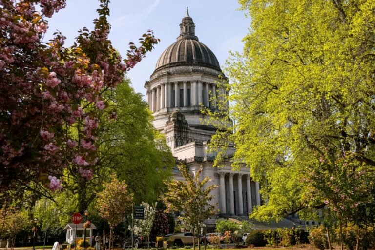 The great bait-and-switch of state assisted suicide laws