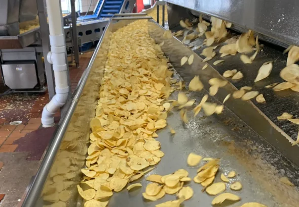 This is the surprising science behind the potato breed in your bag of chips