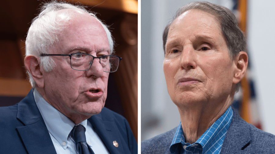 Sanders, Wyden demand hearings with health insurance CEOs