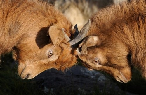 Avoid Quarreling About Words – 1 Timothy 6:3-5