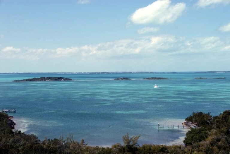 American woman missing at sea after husband says she fell overboard in Bahamas